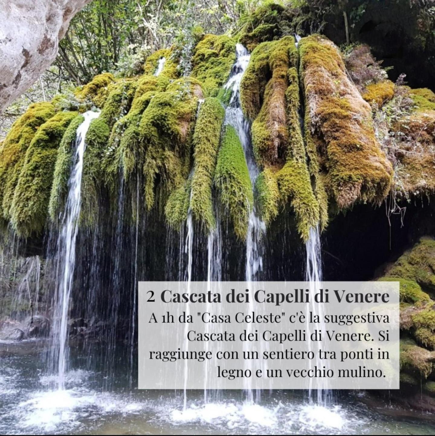 Апартаменти Nennella Cilento House Cuccaro Vetere Екстер'єр фото