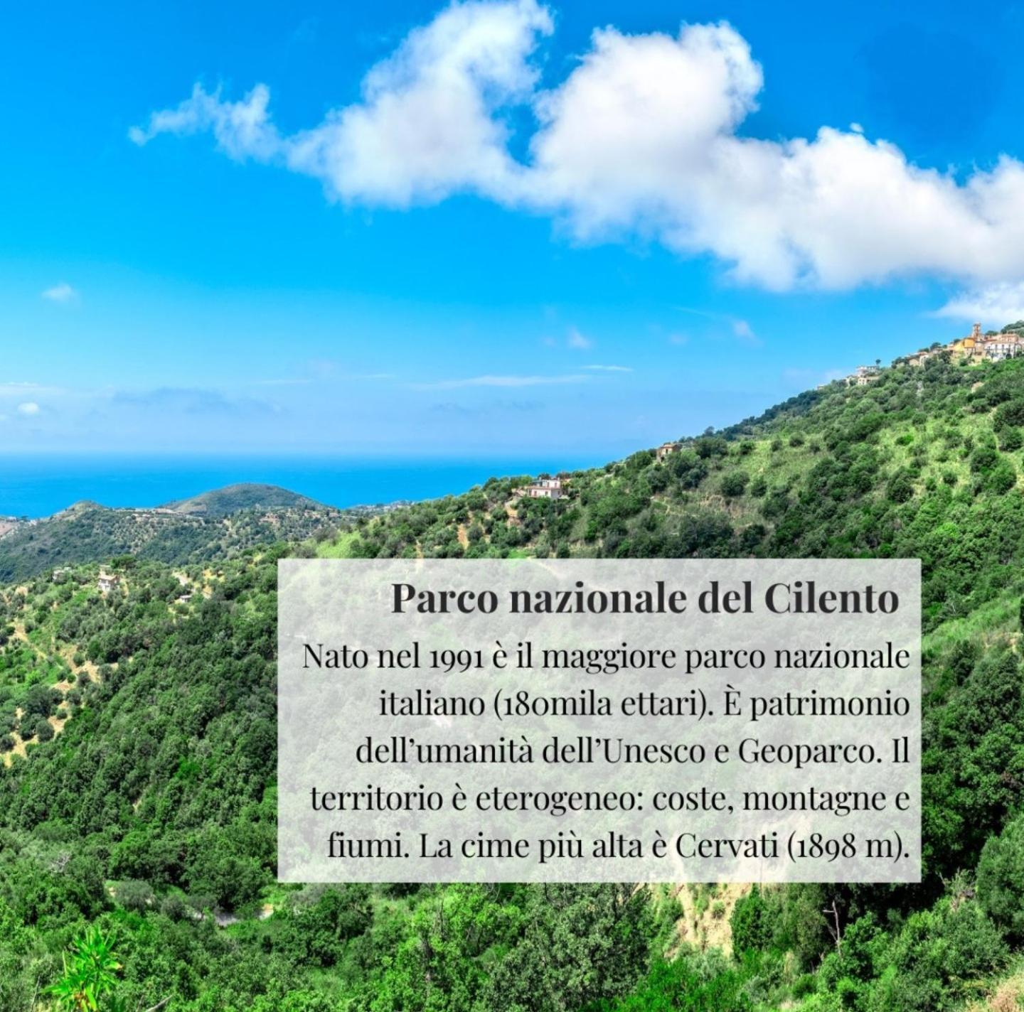 Апартаменти Nennella Cilento House Cuccaro Vetere Екстер'єр фото